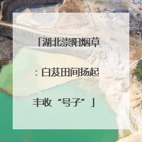湖北崇阳烟草：白芨田间扬起丰收“号子”