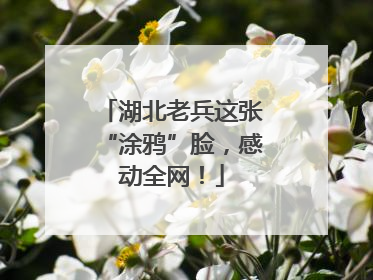 湖北老兵这张“涂鸦”脸，感动全网！