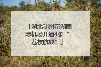 湖北鄂州花湖国际机场开通4条“荔枝航线”