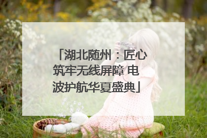 湖北随州：匠心筑牢无线屏障 电波护航华夏盛典