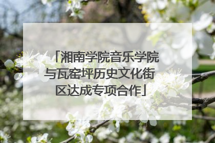 湘南学院音乐学院与瓦窑坪历史文化街区达成专项合作