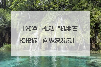 湘潭市推动“机器管招投标”向纵深发展