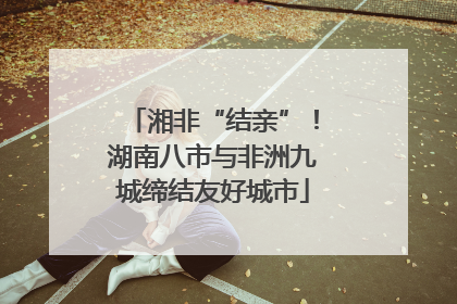 湘非“结亲”！湖南八市与非洲九城缔结友好城市