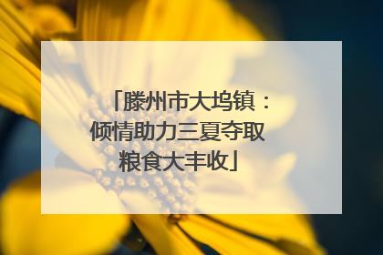 滕州市大坞镇：倾情助力三夏夺取粮食大丰收