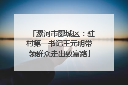 漯河市郾城区：驻村第一书记王元明带领群众走出致富路