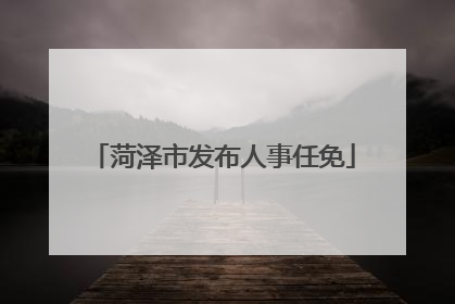 菏泽市发布人事任免
