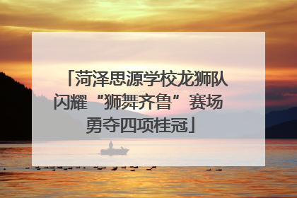 菏泽思源学校龙狮队闪耀“狮舞齐鲁”赛场 勇夺四项桂冠