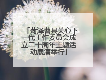 菏泽曹县关心下一代工作委员会成立二十周年主题活动展演举行