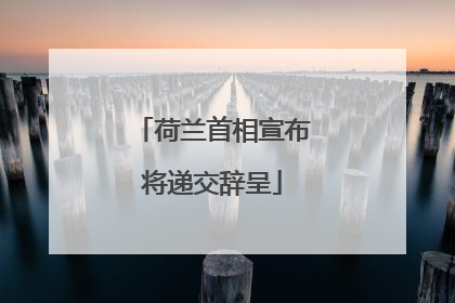 荷兰首相宣布将递交辞呈