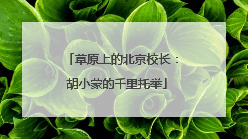 草原上的北京校长：胡小蒙的千里托举