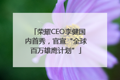 荣耀CEO李健国内首秀，官宣“全球百万雄鹰计划”