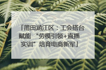 莆田涵江区：工会搭台赋能 “劳模引领+直播实训”培育电商新军