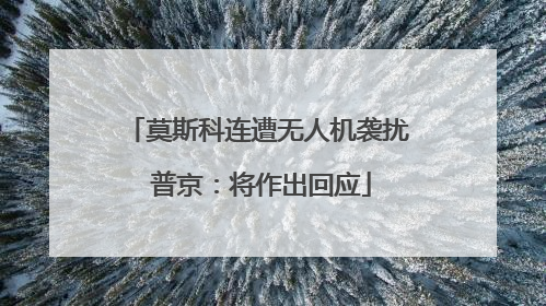 莫斯科连遭无人机袭扰 普京：将作出回应