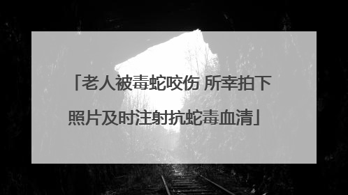 老人被毒蛇咬伤 所幸拍下照片及时注射抗蛇毒血清