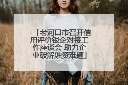 老河口市召开信用评价银企对接工作座谈会 助力企业破解融资难题