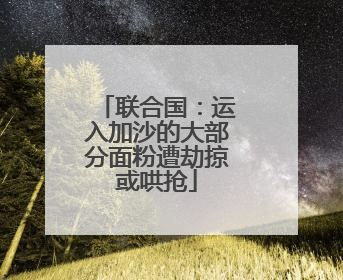 联合国：运入加沙的大部分面粉遭劫掠或哄抢