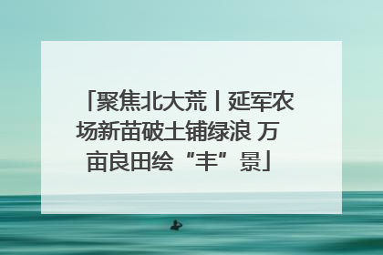 聚焦北大荒丨延军农场新苗破土铺绿浪 万亩良田绘“丰”景