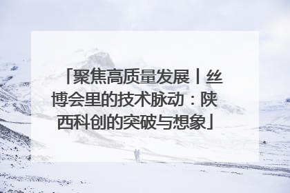 聚焦高质量发展丨丝博会里的技术脉动：陕西科创的突破与想象