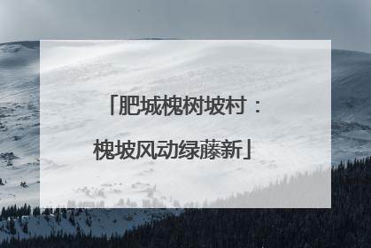 肥城槐树坡村：槐坡风动绿藤新