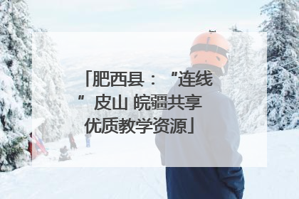 肥西县：“连线”皮山 皖疆共享优质教学资源