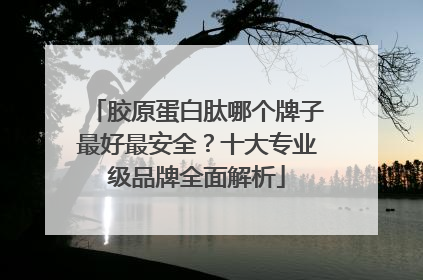 胶原蛋白肽哪个牌子最好最安全？十大专业级品牌全面解析