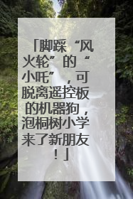 脚踩“风火轮”的“小吒”，可脱离遥控板的机器狗，泡桐树小学来了新朋友！