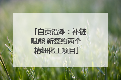 自贡沿滩：补链赋能 新签约两个精细化工项目