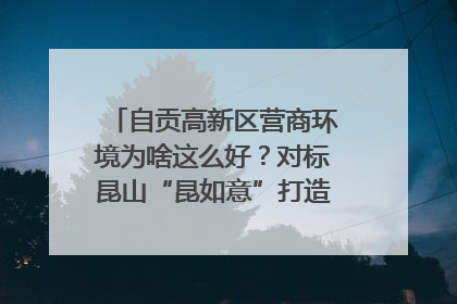 自贡高新区营商环境为啥这么好？对标昆山“昆如意”打造自贡“高兴办”｜美好生活有“盐”味
