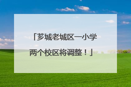 芗城老城区一小学两个校区将调整！