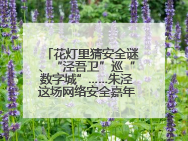 花灯里猜安全谜、“泾吾卫”巡“数字城”……朱泾这场网络安全嘉年华太会玩了