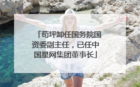 苟坪卸任国务院国资委副主任，已任中国星网集团董事长