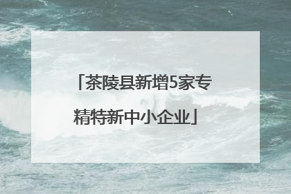 茶陵县新增5家专精特新中小企业