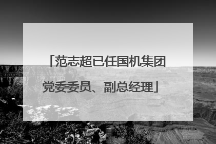 范志超已任国机集团党委委员、副总经理