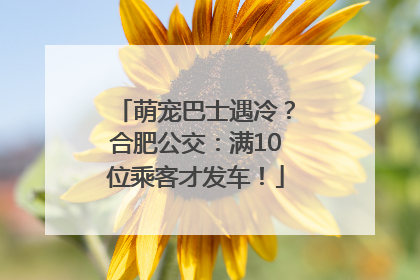 萌宠巴士遇冷？合肥公交：满10位乘客才发车！