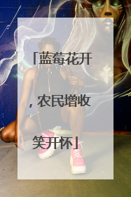蓝莓花开，农民增收笑开怀