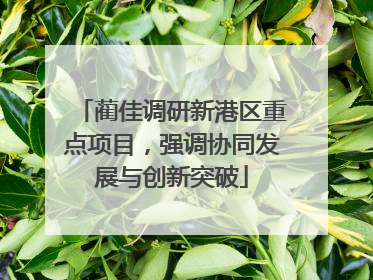 蔺佳调研新港区重点项目，强调协同发展与创新突破