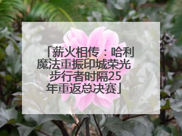 薪火相传：哈利魔法重振印城荣光 步行者时隔25年重返总决赛