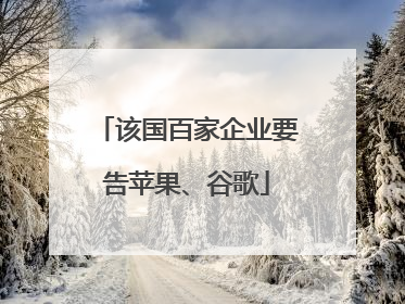 该国百家企业要告苹果、谷歌