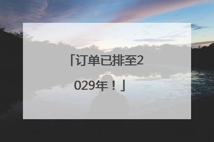 订单已排至2029年！