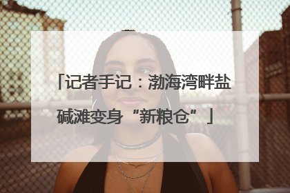记者手记：渤海湾畔盐碱滩变身“新粮仓”