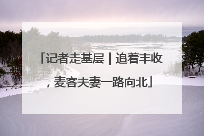 记者走基层｜追着丰收，麦客夫妻一路向北