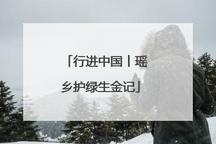 行进中国丨瑶乡护绿生金记