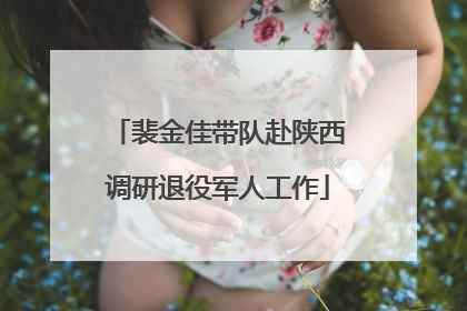 裴金佳带队赴陕西调研退役军人工作