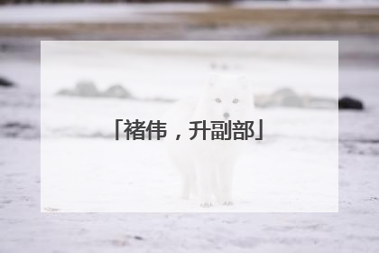 褚伟，升副部