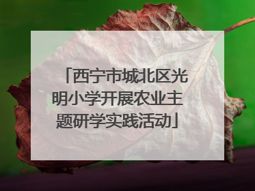 西宁市城北区光明小学开展农业主题研学实践活动