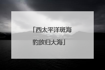 西太平洋斑海豹放归大海