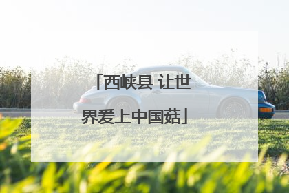 西峡县 让世界爱上中国菇