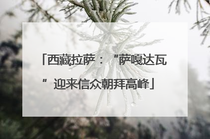 西藏拉萨：“萨嘎达瓦”迎来信众朝拜高峰
