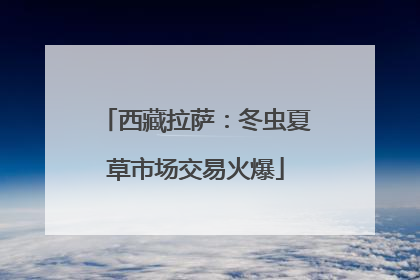 西藏拉萨：冬虫夏草市场交易火爆