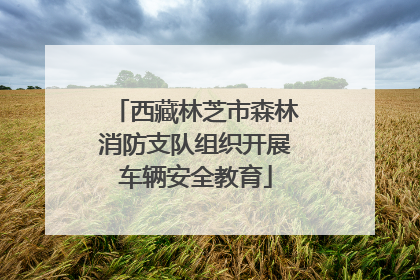 西藏林芝市森林消防支队组织开展车辆安全教育
